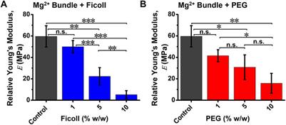 Actin Bundle Nanomechanics and Organization Are Modulated by Macromolecular Crowding and Electrostatic Interactions